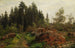 Boslandschap - Fritz Freund — weergave van het kunstwerk