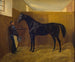 Zampa - Fritz Thomsen — weergave van het kunstwerk
