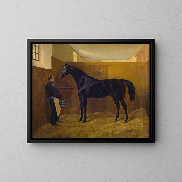 Zampa - Fritz Thomsen — framed artwork on a wall