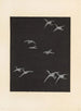 Bijutsukai Pl. 1 - Furuya Korin — weergave van het kunstwerk