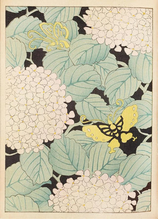 Furuya Krin - Bijutsukai Pl169.webp