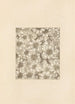 Bijutsukai Pl189 - Furuya Korin — weergave van het kunstwerk