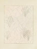 Bijutsukai Pl. 195 - Furuya Korin — weergave van het kunstwerk