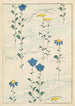 Bijutsukai Pl224 - Furuya Korin — weergave van het kunstwerk