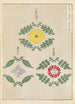 Bijutsukai Pl226 - Furuya Korin — weergave van het kunstwerk