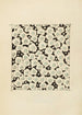 Bijutsukai Pl31 - Furuya Korin — weergave van het kunstwerk