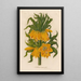 Fritillaria imperialis - Gaetano Savi — framed artwork on a wall