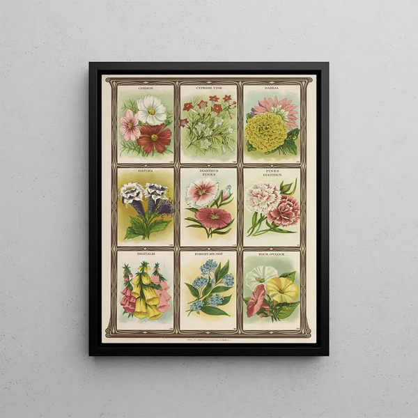 Genesee Valley Lithograph Co - Cosmos Cypress Vine Dahlia Datura.webp