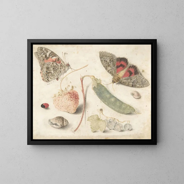 Studies of fruits, insects, and shells - Georg Flegel — framed artwork on a wall