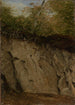 Wall Rock Cliffs - Georg Wilhelm Issel — artwork view