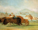Baptiste en ik rennend de muil van de bizon van Yellowstone - George Catlin — weergave van het kunstwerk