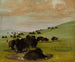 Bizons in een waterpoel - George Catlin — weergave van het kunstwerk