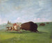 Jacht op buffels, één enkele dood - George Catlin — weergave van het kunstwerk