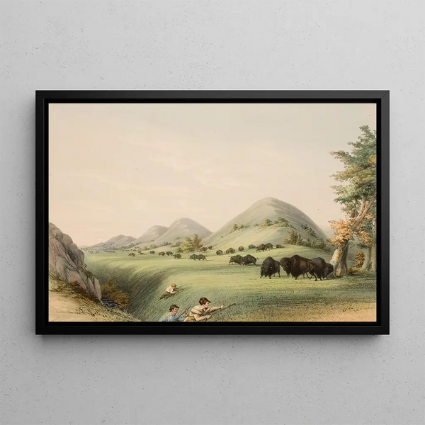 George Catlin - Buffalo Hunt Approaching in a Ravine.webp