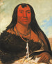 Chh-Ee-Chpes Quatre Loups un chef en deuil - George Catlin — weergave van het kunstwerk