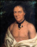 Co-Sne-Boin - George Catlin — weergave van het kunstwerk
