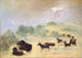 Elan en bizon die kennis maken in Texas - George Catlin — weergave van het kunstwerk