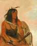 Isharyeh Degene die een wolf draagt, is een dapper man - George Catlin — weergave van het kunstwerk