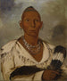 Mk-a-tah-mish-o-khaik Zwarte adelaar, leider van de zak - George Catlin — weergave van het kunstwerk
