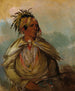 Pah-mee-cw-ee-tah L'homme qui traque un chef - George Catlin — weergave van het kunstwerk