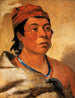 Ronde Eiland, een krijger - George Catlin — weergave van het kunstwerk
