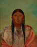 Ru-Ton-Wee-Me Duif op de vleugel - George Catlin — weergave van het kunstwerk