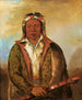 Shee-Nh-Wee - George Catlin — weergave van het kunstwerk