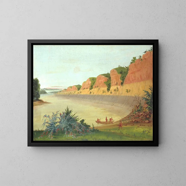 Côté sud de l'île Buffalo montrant des baies de buffle au premier plan - George Catlin — ingelijst kunstwerk aan de muur