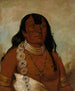 Th-Tot-Sah beter bekend als Tohausen Little Bluff First Chief - George Catlin — weergave van het kunstwerk