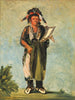 WahKnZeKaw de slang - George Catlin — weergave van het kunstwerk