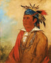 WahPnJeeA De zwaan een krijger - George Catlin — weergave van het kunstwerk