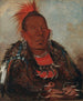 WahRoNeSah, de leider van de stam - George Catlin — weergave van het kunstwerk