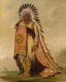 WnEeTon Chef de la tribu - George Catlin — weergave van het kunstwerk
