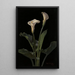 Arums - George Cochran Lambdin — framed artwork on a wall