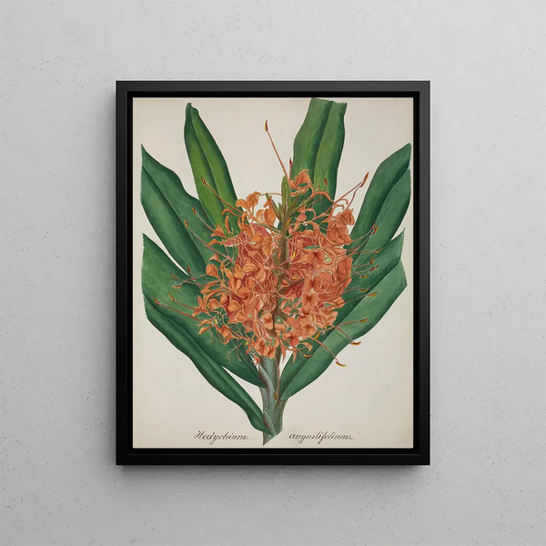 George De Alwis - Mon Jardin a Ceylan Pl037.webp
