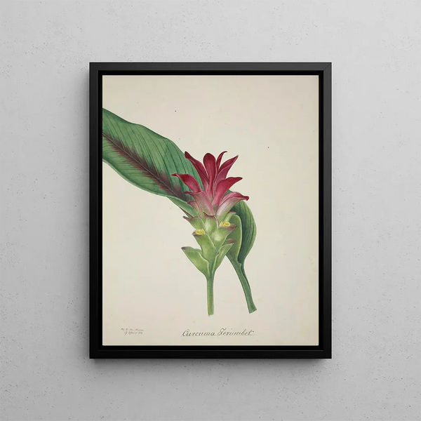 George De Alwis - Mon Jardin a Ceylan Pl044.webp