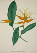 Mon Jardin à Ceylan Pl068 - George De Alwis — weergave van het kunstwerk