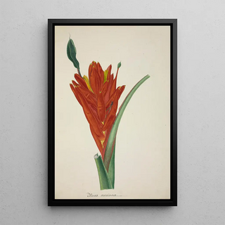 George De Alwis - Mon Jardin a Ceylan Pl110.webp