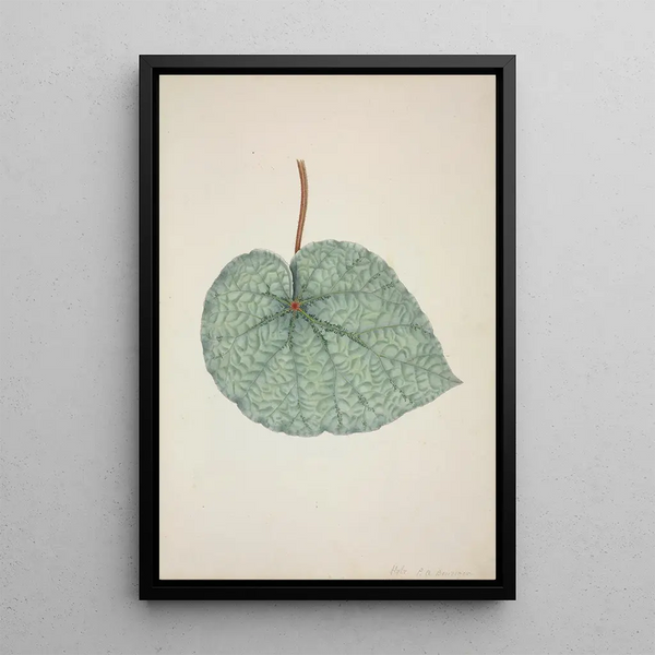 George De Alwis - Mon Jardin a Ceylan Pl162.webp