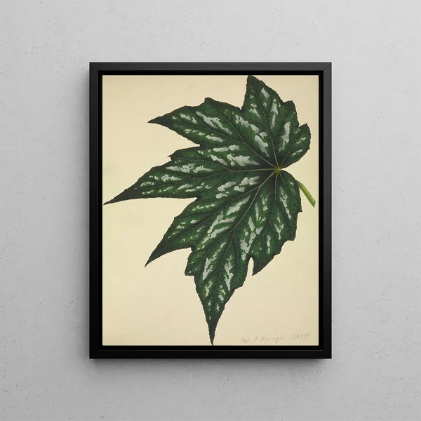 George De Alwis - Mon Jardin a Ceylan Pl180.webp