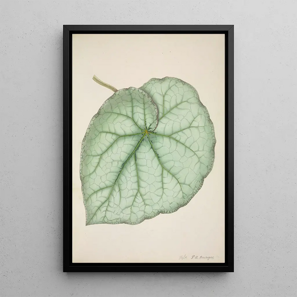 George De Alwis - Mon Jardin a Ceylan Pl188.webp