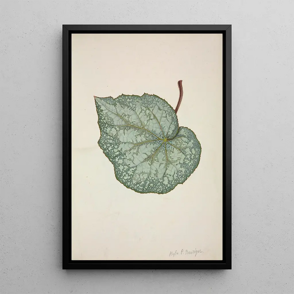 George De Alwis - Mon Jardin a Ceylan Pl202.webp