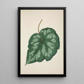 George De Alwis - Mon Jardin a Ceylan Pl218.webp