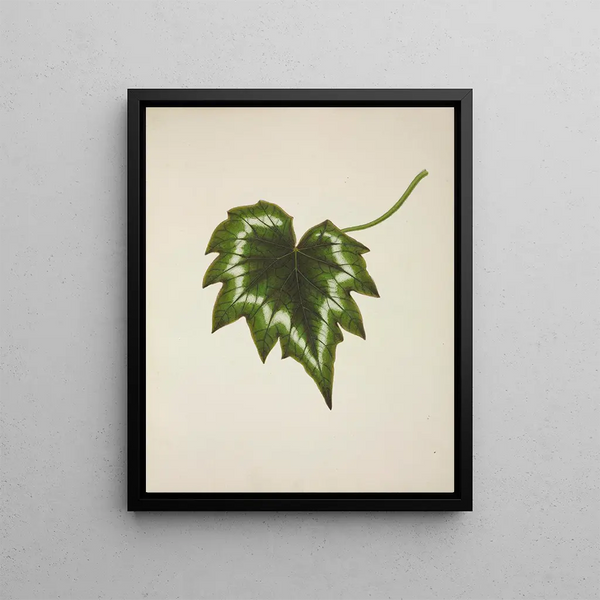 George De Alwis - Mon Jardin a Ceylan Pl226.webp