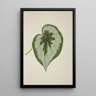 George De Alwis - Mon Jardin a Ceylan Pl231.webp