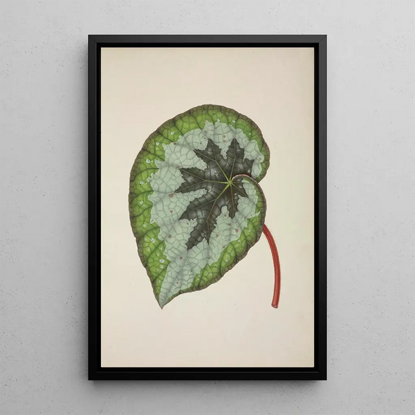 George De Alwis - Mon Jardin a Ceylan Pl237.webp