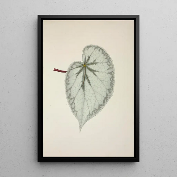 George De Alwis - Mon Jardin a Ceylan Pl238.webp