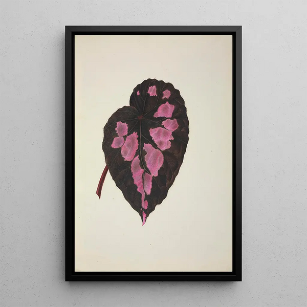 George De Alwis - Mon Jardin a Ceylan Pl271.webp