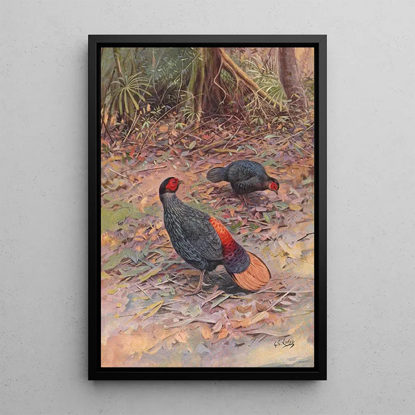 George Edward Lodge - Bornean Crestless Fireback.webp