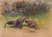 Grijze haan uit de jungle - George Edward Lodge — weergave van het kunstwerk